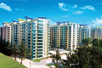 金年金字招牌(jinnian)如意苑招租信息（2022.1.29）