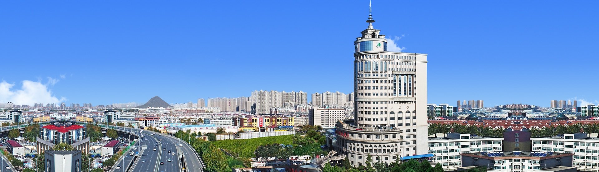 山东金年金字招牌(jinnian)集团有限公司2026年度招聘简章